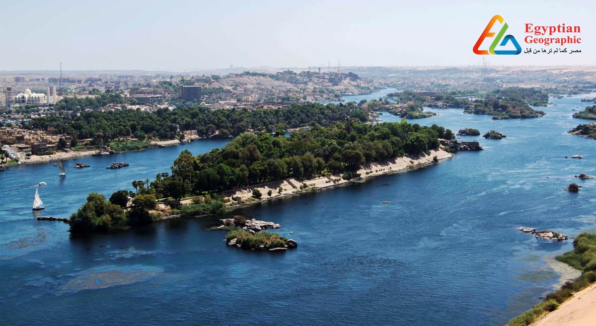 جزيرة النباتات في أحضان نهر النيل